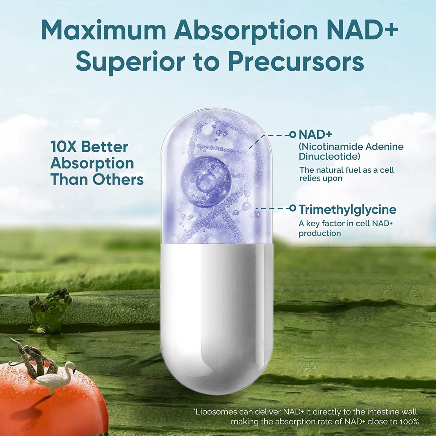 🌎Exclusivo Internacional NAD Liposomal