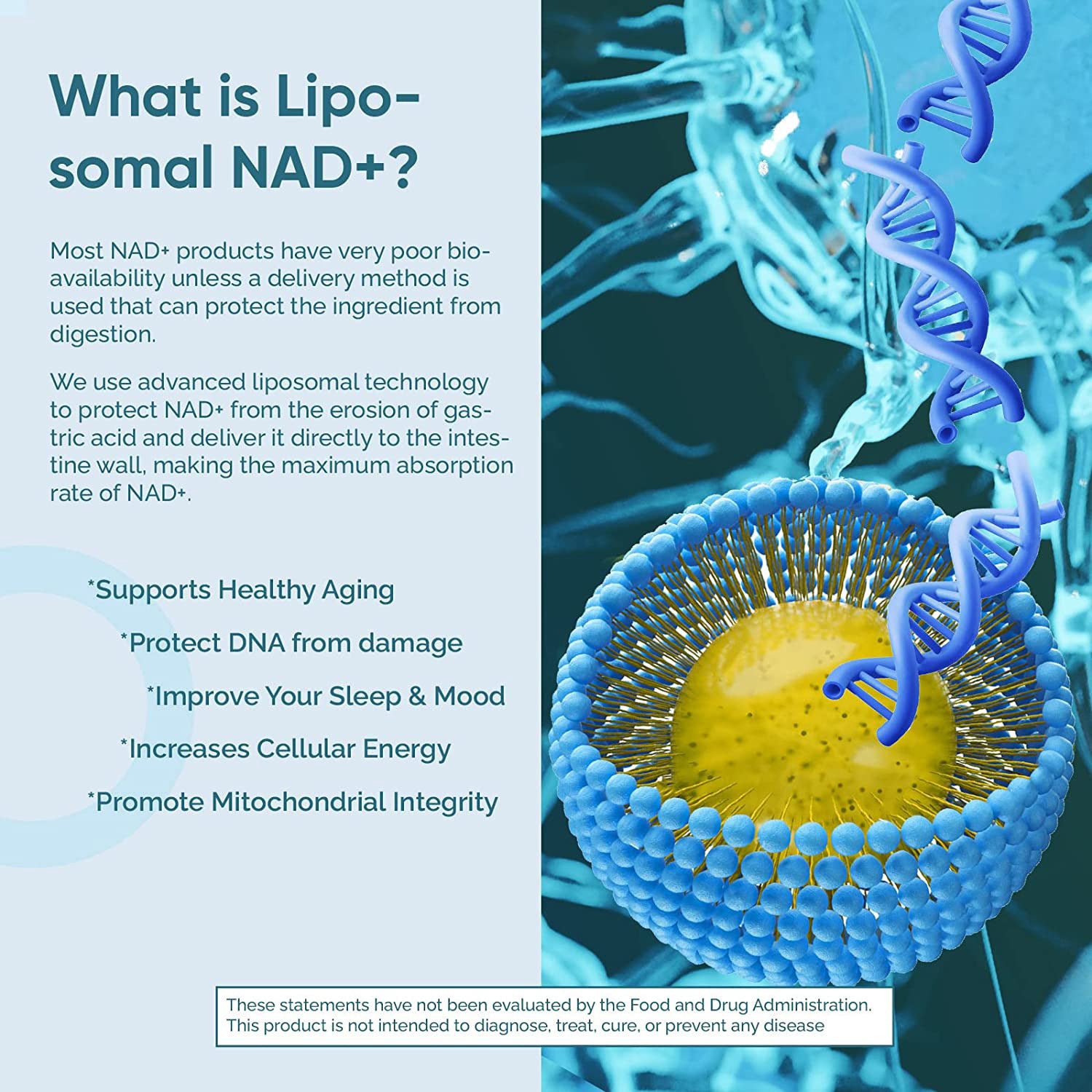 🌎Exclusivo Internacional NAD Liposomal