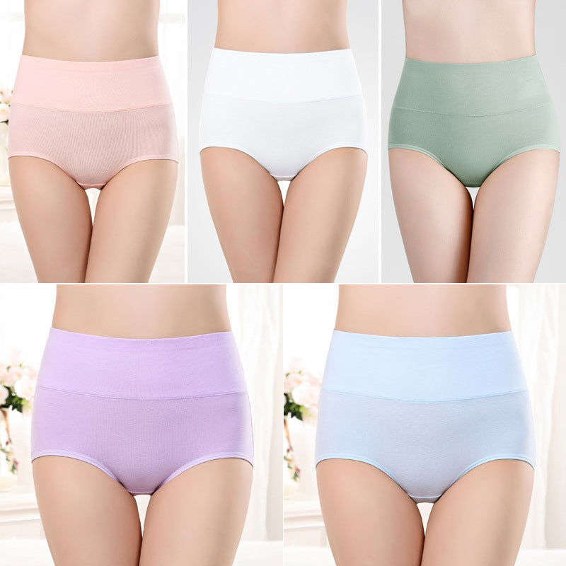 Pack 5 Bragas Tallas Grandes